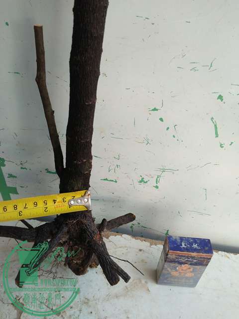IMG20170216141758.jpg