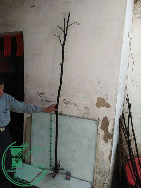 IMG20170216141806.jpg