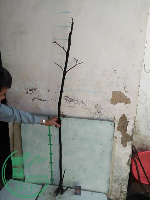 IMG20170216141851.jpg
