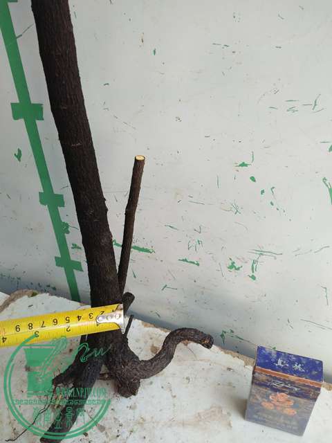 IMG20170216141856.jpg