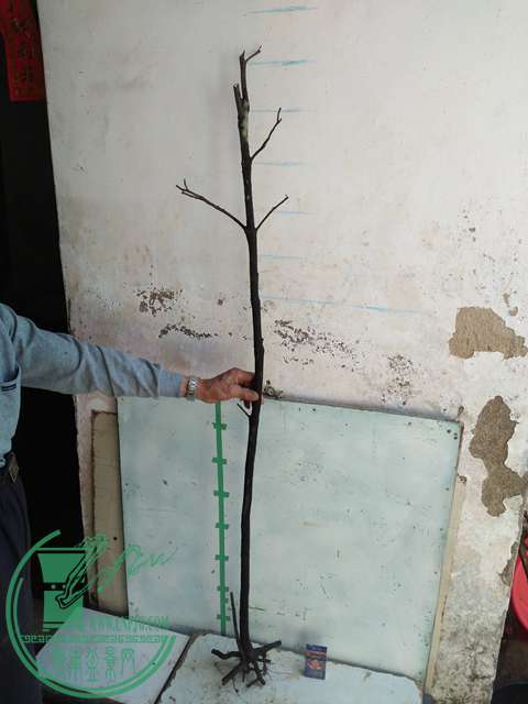 IMG20170216141907.jpg