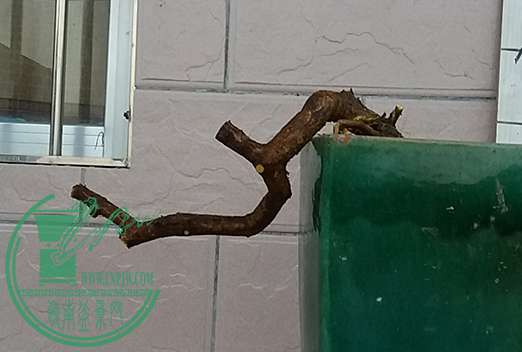 20170218_182643_mh1487416674166.jpg