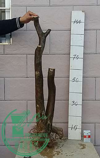 20170218_180952_mh1487415877374.jpg