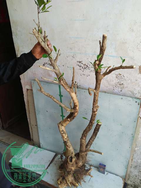 IMG20170218112147.jpg