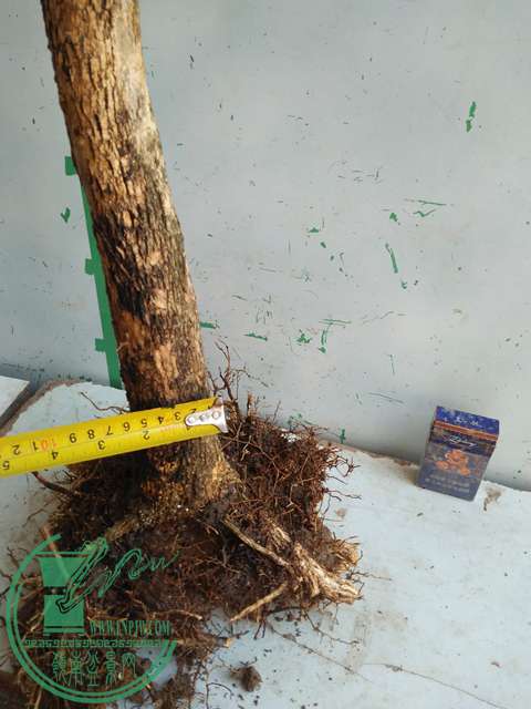 IMG20170218112255.jpg
