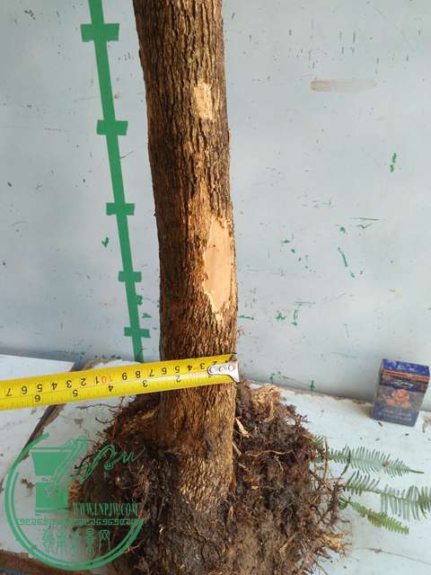 IMG20170218112545.jpg