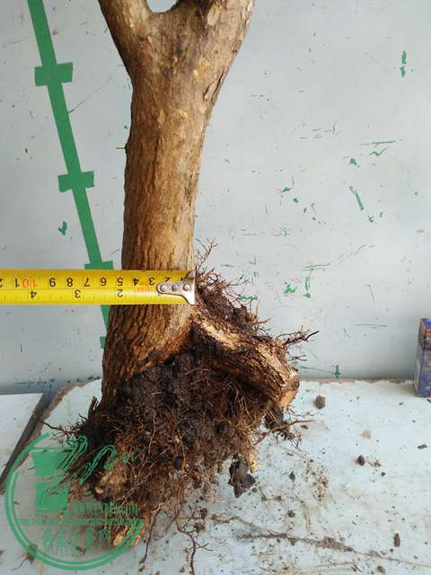 IMG20170218113113.jpg