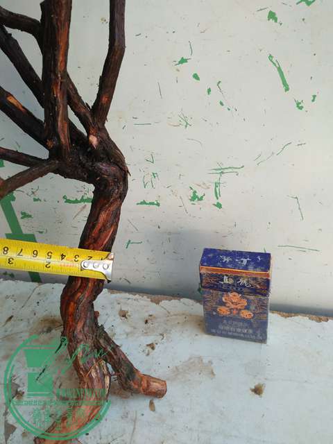 IMG20170217130341.jpg