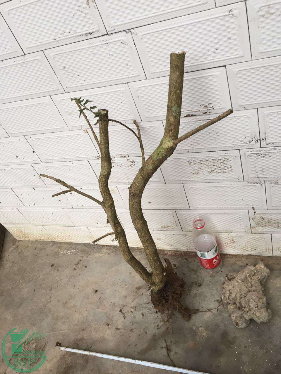 24.jpg