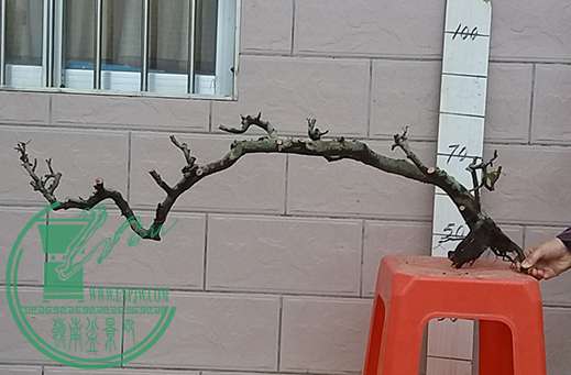 20170219_180619_mh1487503597770.jpg