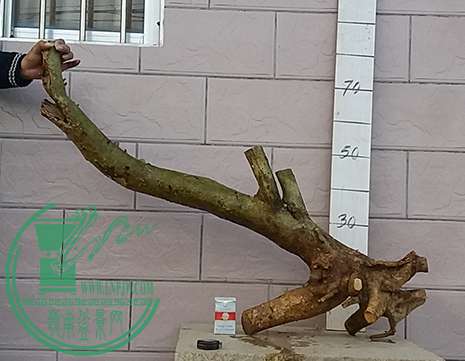 20170218_181035_mh1487503811248.jpg