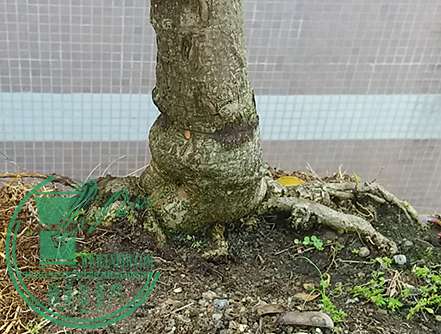20170218_113929_mh1487507673473.jpg
