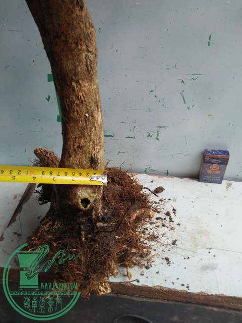 IMG20170219125411.jpg