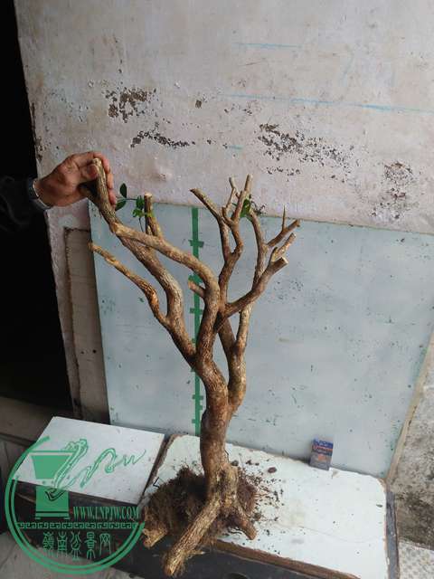 IMG20170219125507.jpg