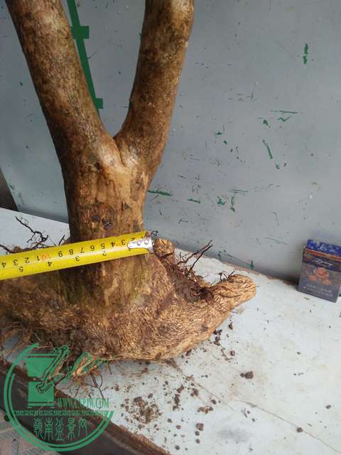 IMG20170219125822.jpg