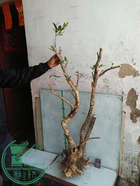 IMG20170218112122.jpg
