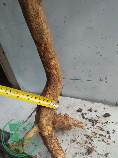 IMG20170219125610.jpg