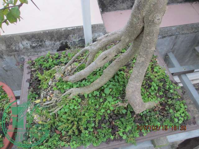 IMG_7143.JPG