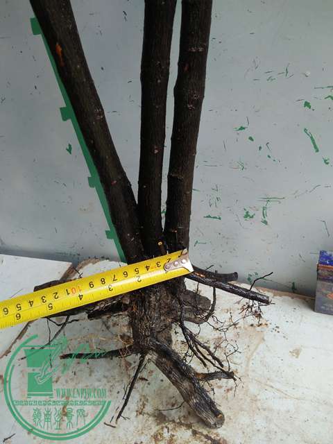 IMG20170220113044.jpg
