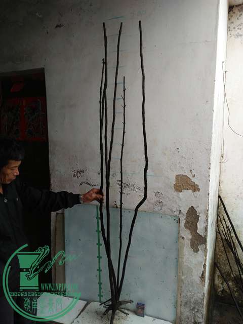 IMG20170220113055.jpg