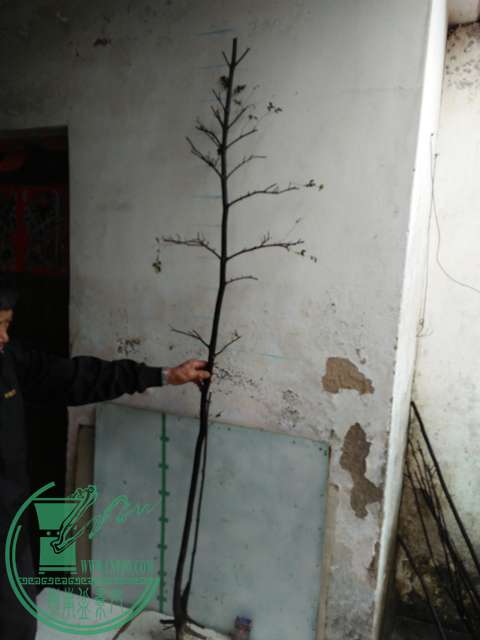 IMG20170220113121.jpg