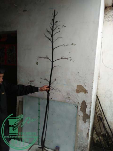 IMG20170220113122.jpg