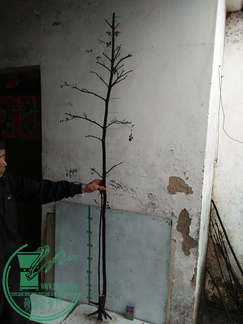 IMG20170220113134.jpg