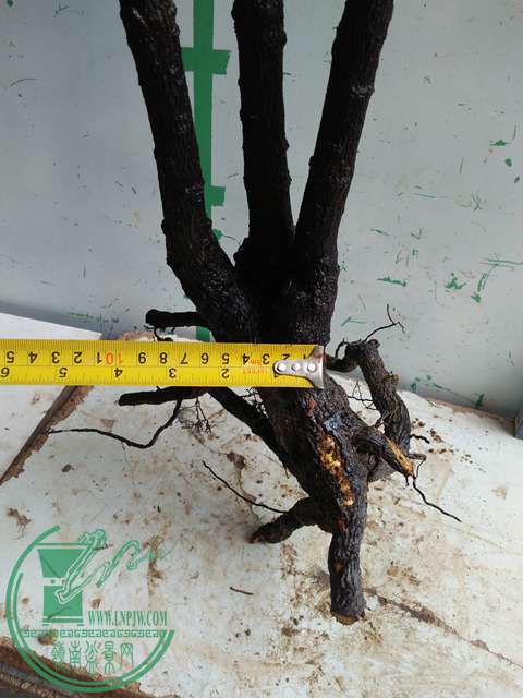 IMG20170220113415.jpg