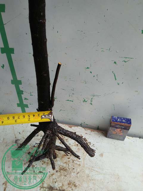 IMG20170220113451.jpg