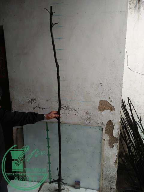 IMG20170220113456.jpg