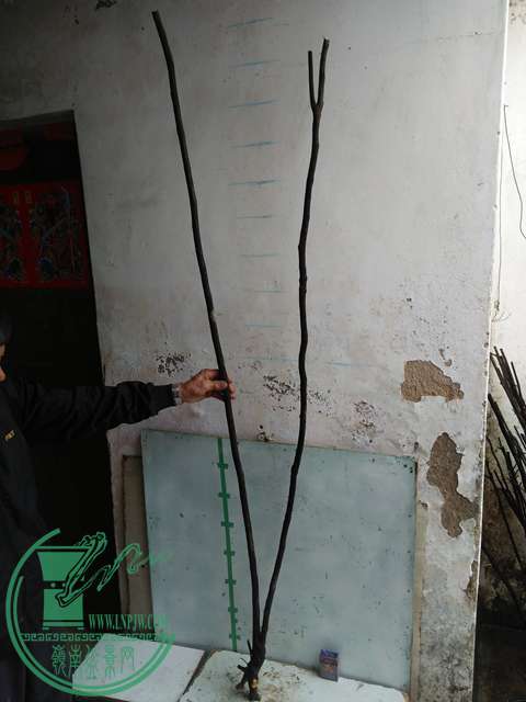 IMG20170220113511.jpg