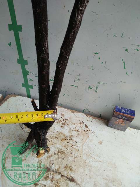 IMG20170220113516.jpg