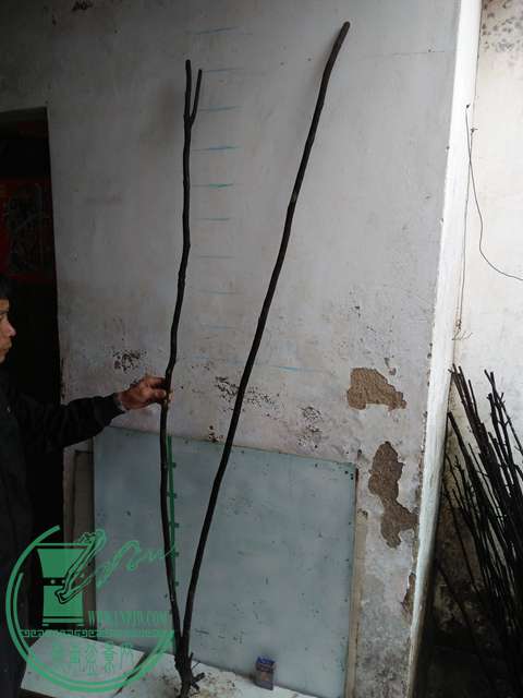 IMG20170220113521.jpg
