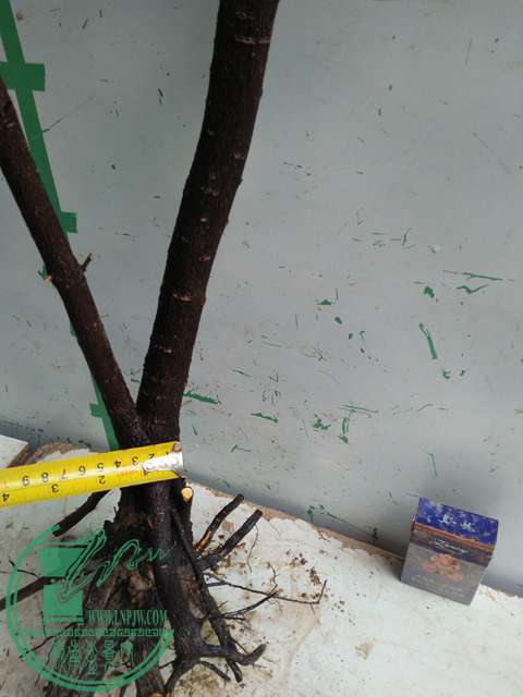 IMG20170220113610.jpg