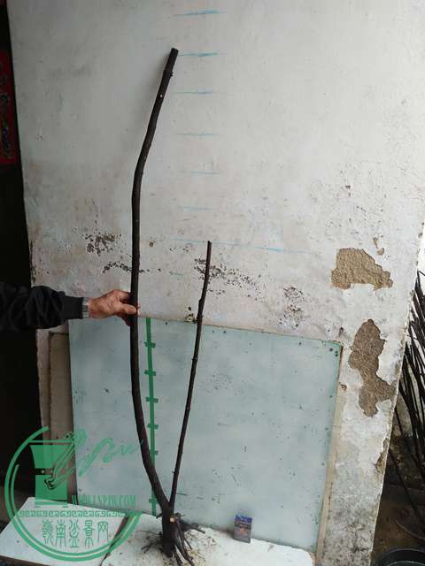 IMG20170220113621.jpg