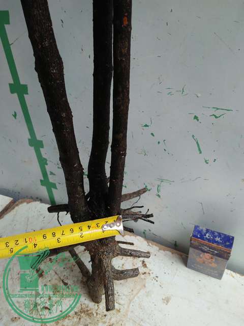 IMG20170220113644.jpg