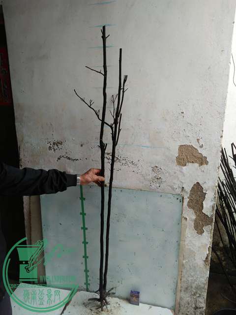 IMG20170220113702.jpg