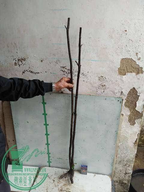 IMG20170220113927.jpg