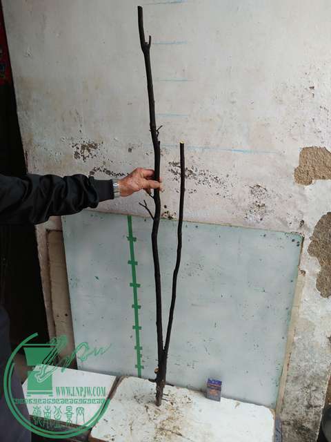 IMG20170220113952.jpg