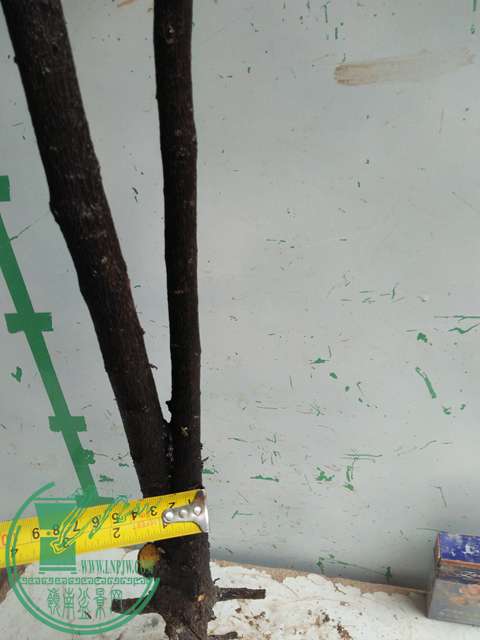 IMG20170220113956.jpg