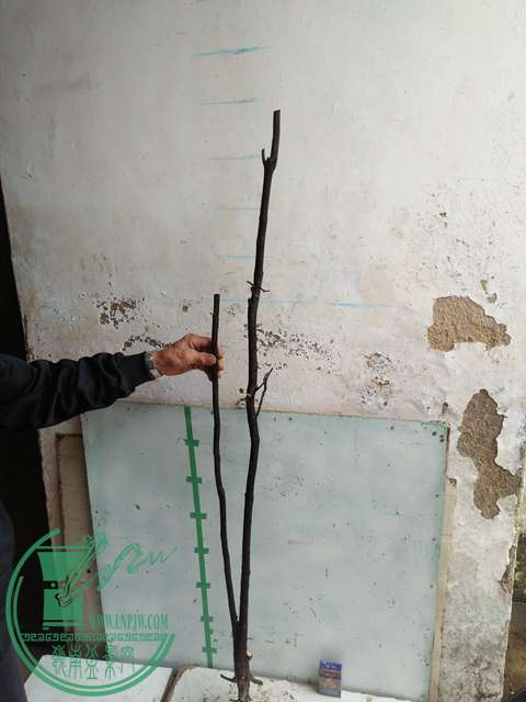 IMG20170220114001.jpg