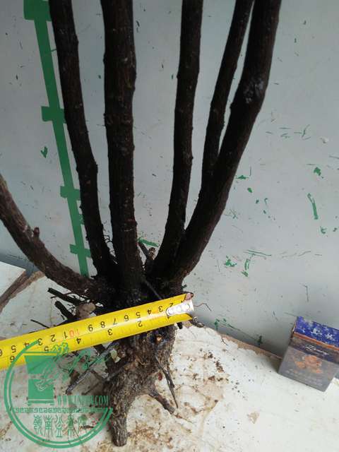 IMG20170220114100.jpg