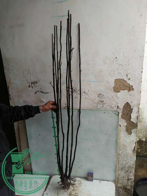 IMG20170220114105.jpg