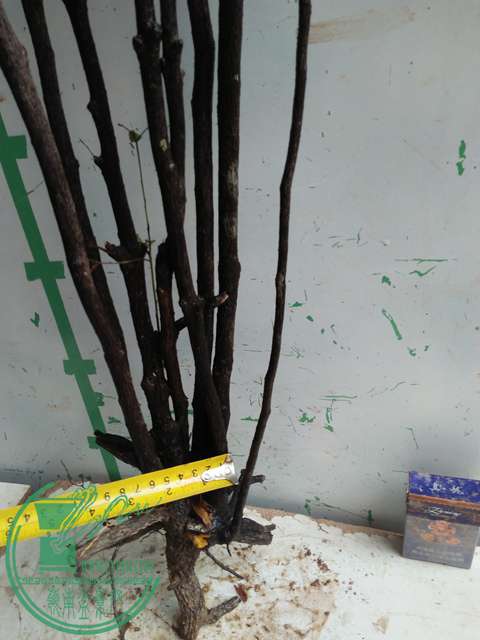 IMG20170220114136.jpg
