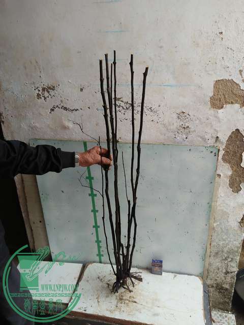 IMG20170220114141.jpg