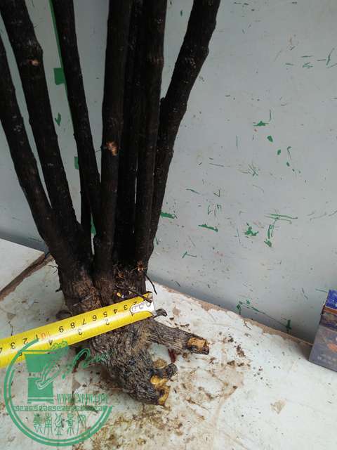 IMG20170220114204.jpg