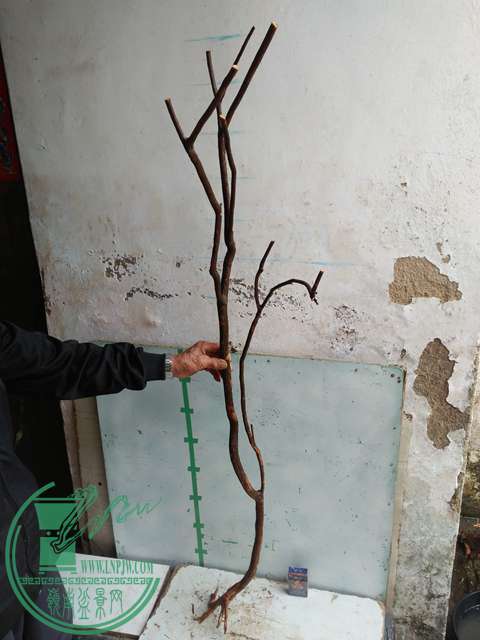 IMG20170220112056.jpg