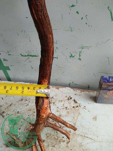 IMG20170220112117.jpg
