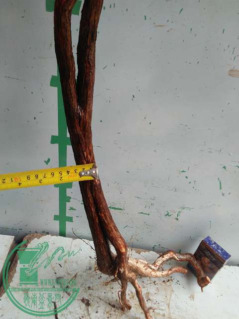 IMG20170220112301.jpg
