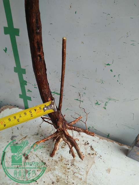 IMG20170220112343.jpg